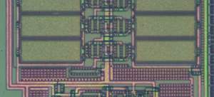 SCP-003 생물학적 마더보드 - 키틴질과 모발로 구성된 회로 구조 클로즈업
