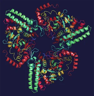 SCP-008 프리온 단백질 3차 구조 리본 다이어그램 - 아미노산 서열 정보는 편집됨