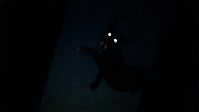 SCP-001 "어둠이 다시 내린다": 43 기지 지하 4층의 두 형제 (1부)