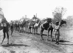 SCP-036 - 야지디의 환생 순례 (The Reincarnation Pilgrimage of the Yazidi (Kiras Guhorîn))